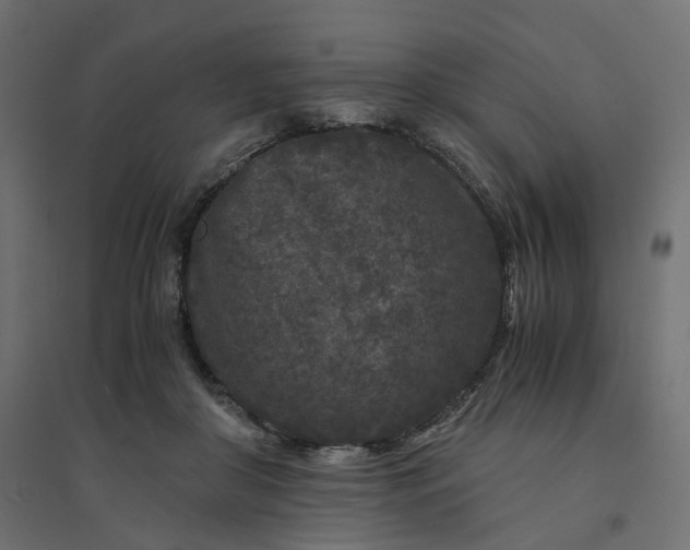 X0000094430410200711211437
