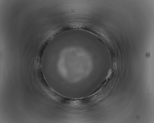 X0000094430411200711211437