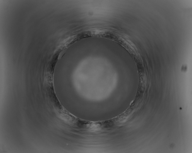 X0000094430419200711211437