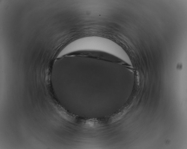X0000094430420200711211437