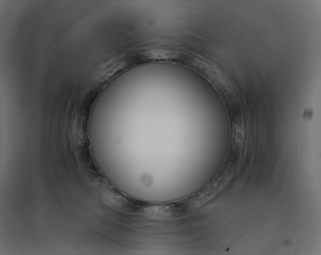 X0000094430422200711211437