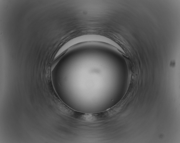X0000094430425200711211437