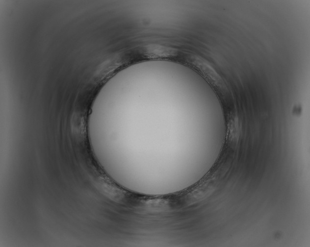 X0000094430426200711211437