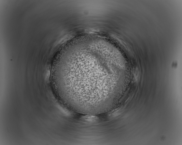 X0000094430427200711211437
