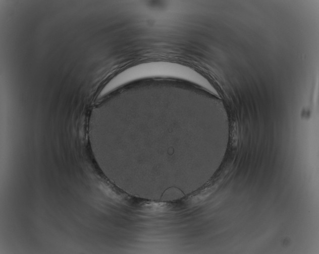 X0000094430428200711211437