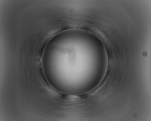 X0000094430429200711211437
