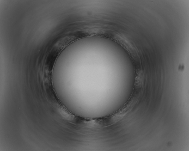X0000094430430200711211437