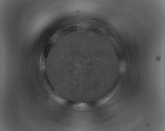 X0000094430431200711211437