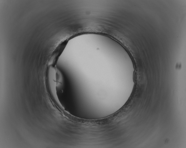 X0000094430434200711211436