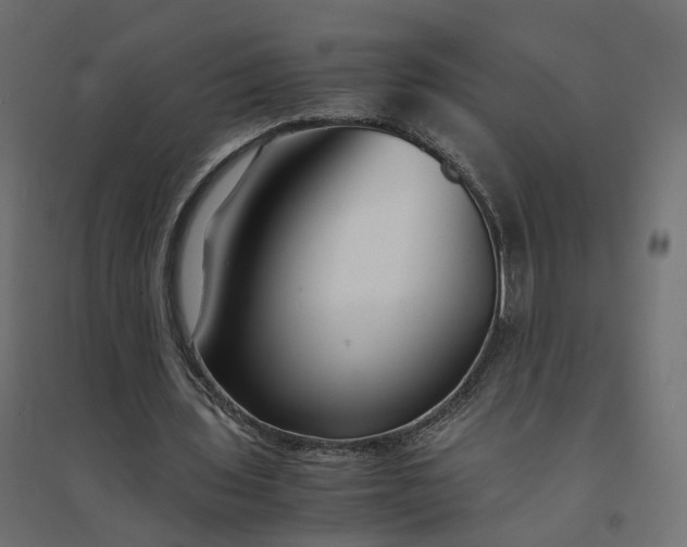 X0000094430435200711211436