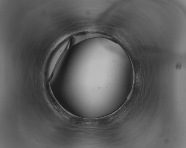X0000094430436200711211436