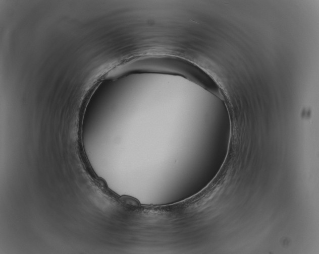 X0000094430437200711211436