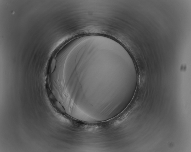 X0000094430438200711211436