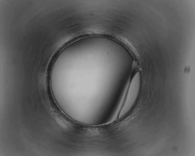 X0000094430439200711211436