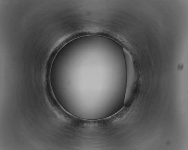 X0000094430440200711211436