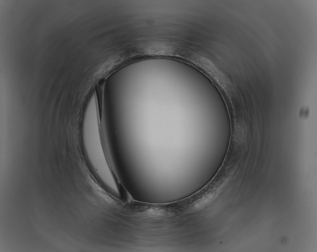 X0000094430441200711211436