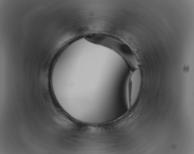 X0000094430442200711211436