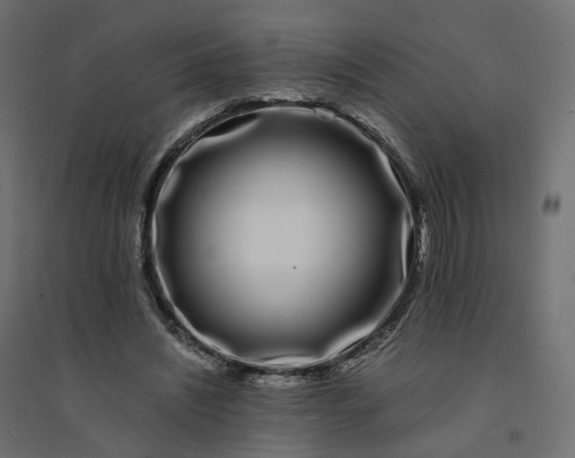 X0000094430444200711211436