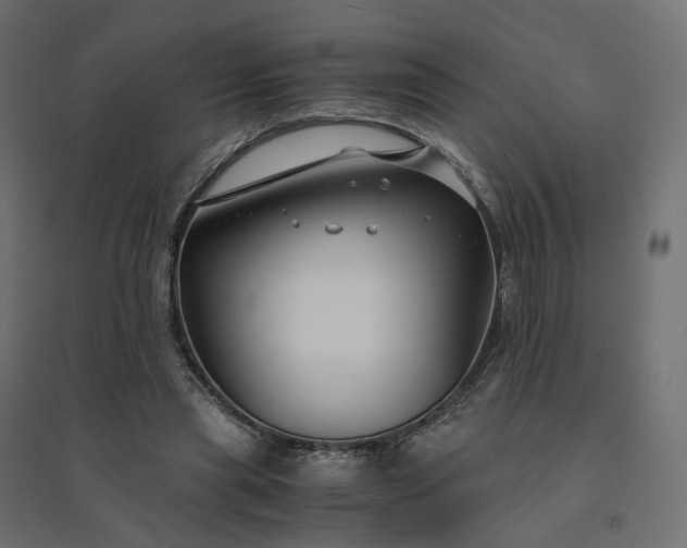 X0000094430445200711211436
