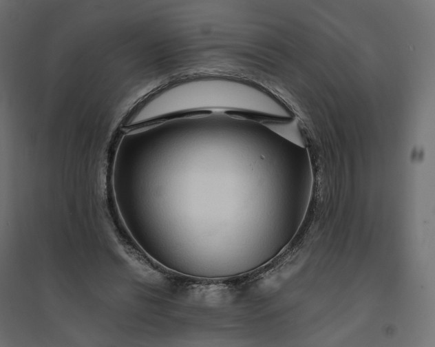 X0000094430446200711211436