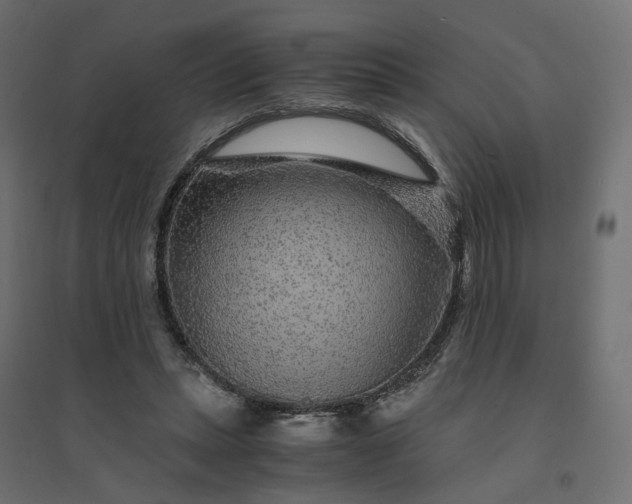 X0000094430447200711211436