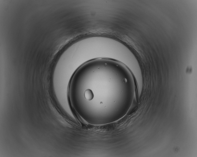 X0000094430448200711211436