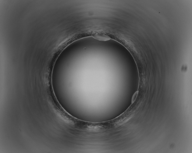 X0000094430450200711211437