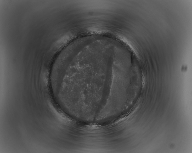 X0000094430451200711211437
