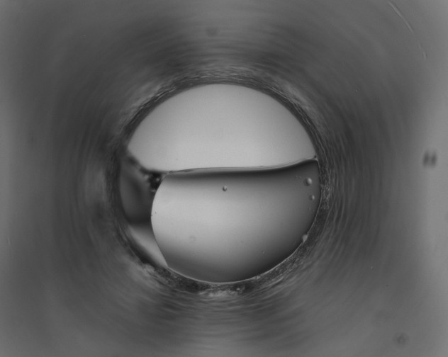 X0000094430452200711211437