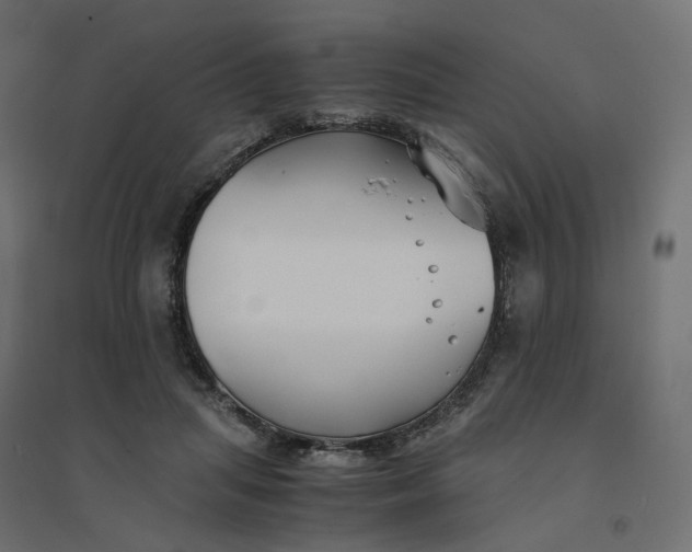 X0000094430455200711211437