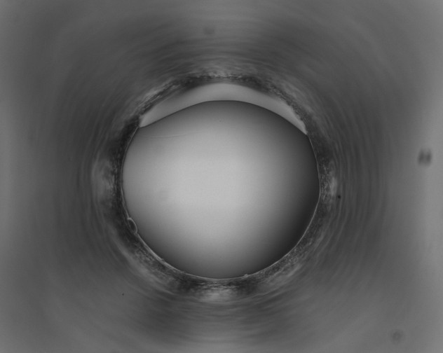 X0000094430456200711211437