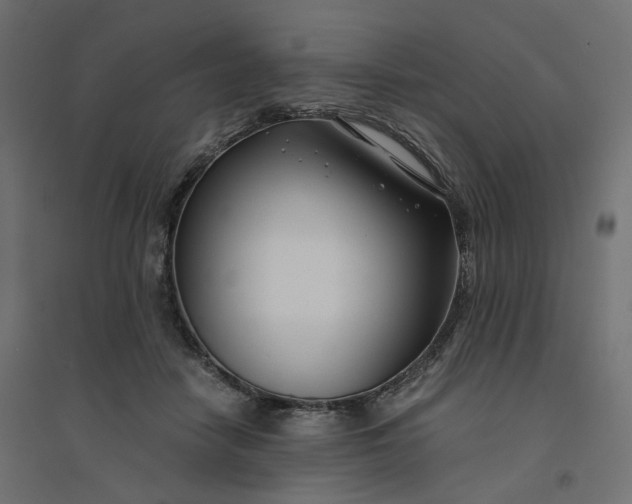 X0000094430458200711211437