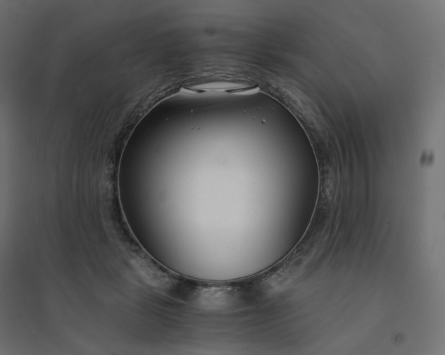 X0000094430461200711211437