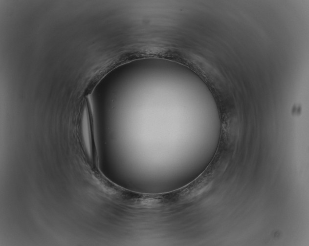 X0000094430462200711211437