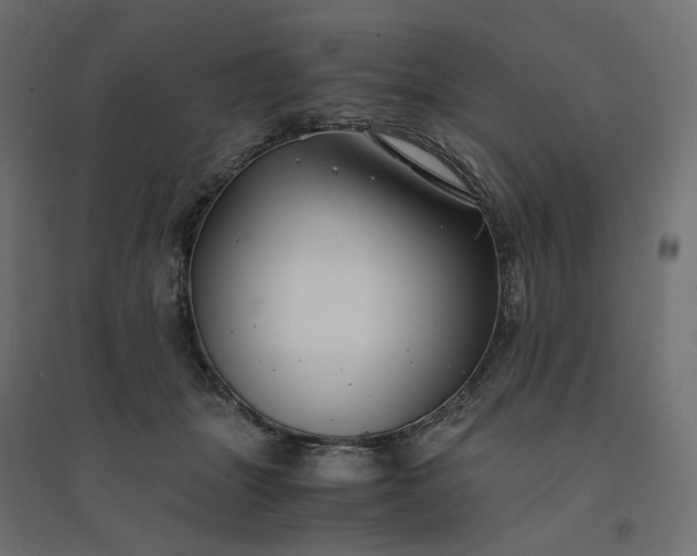 X0000094430463200711211437