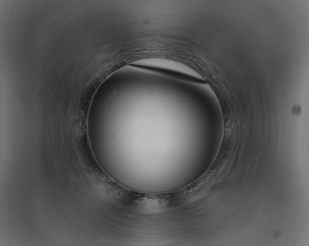 X0000094430464200711211437