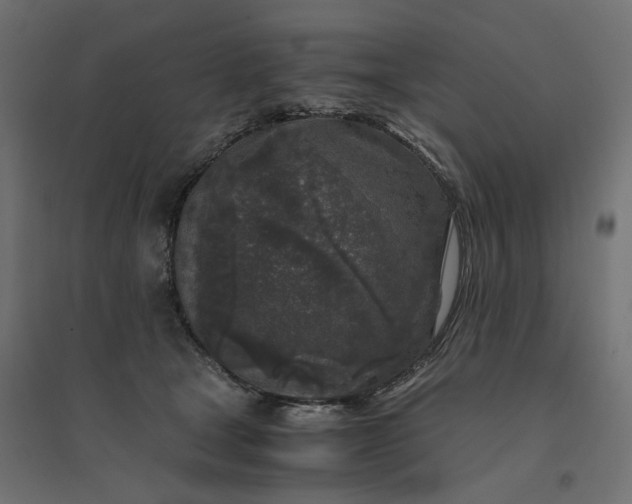 X0000094430465200711211437