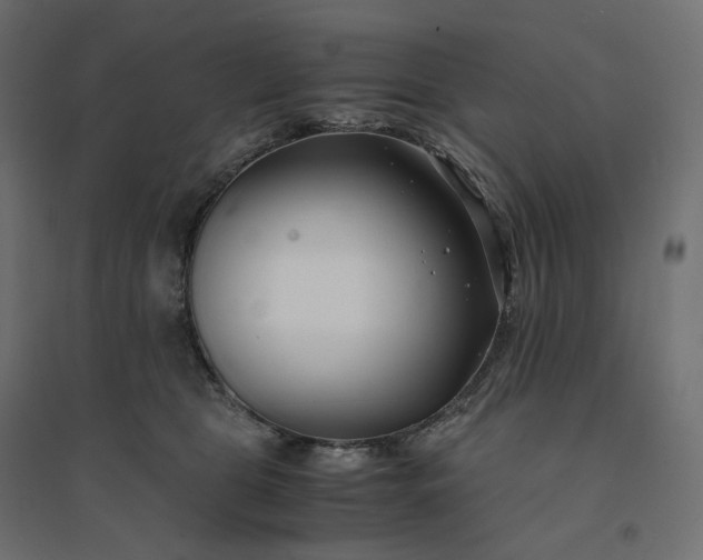 X0000094430469200711211437