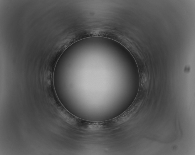 X0000094430470200711211437
