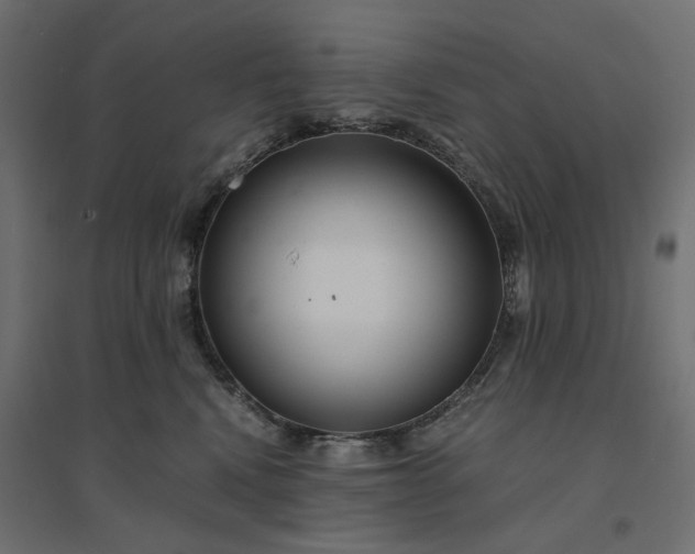 X0000094430472200711211437