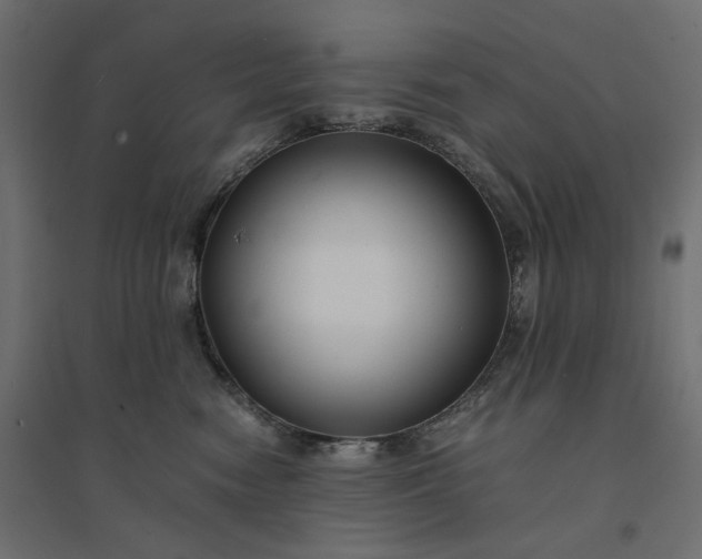 X0000094430474200711211437