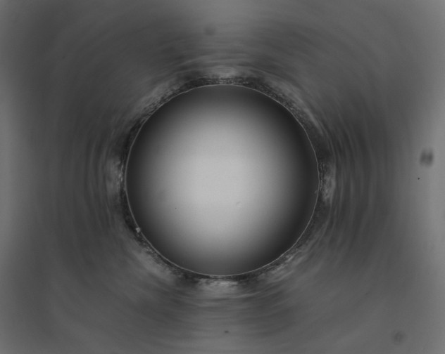 X0000094430476200711211437