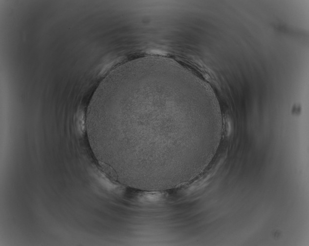 X0000094430479200711211437