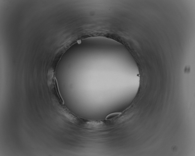 X0000094430480200711211437
