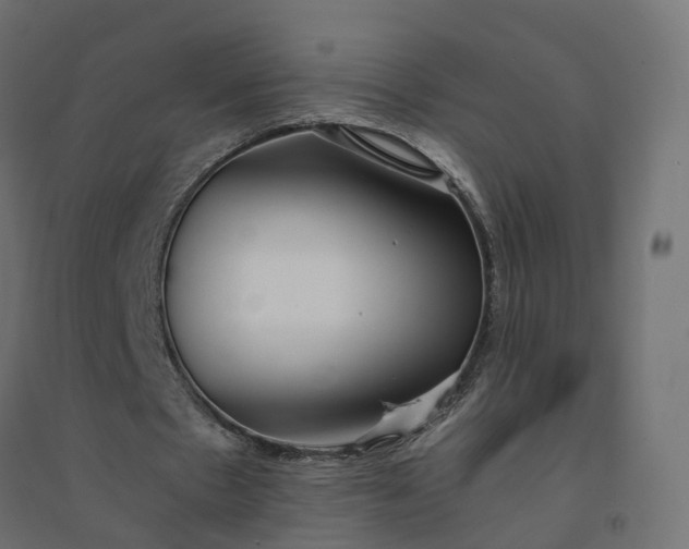 X0000094430481200711211436