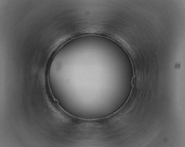 X0000094430482200711211436