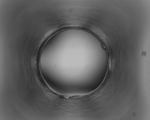 X0000094430483200711211436