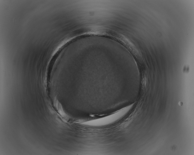 X0000094430484200711211436