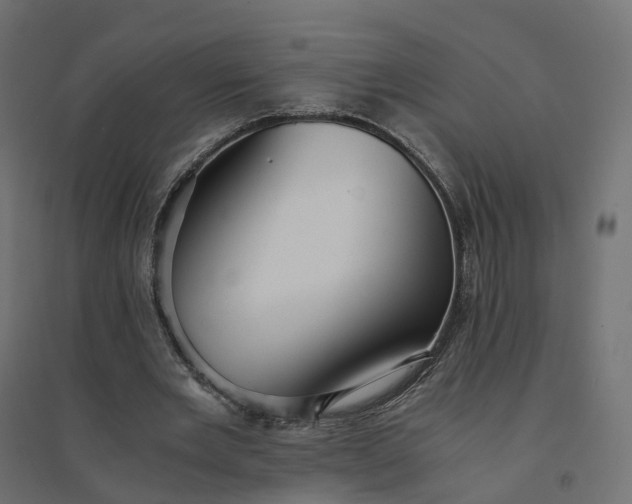 X0000094430485200711211436