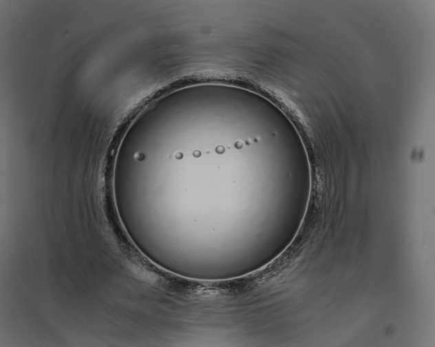 X0000094430487200711211436